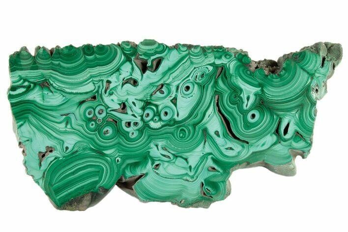 Polished Malachite Slab - Congo #194315